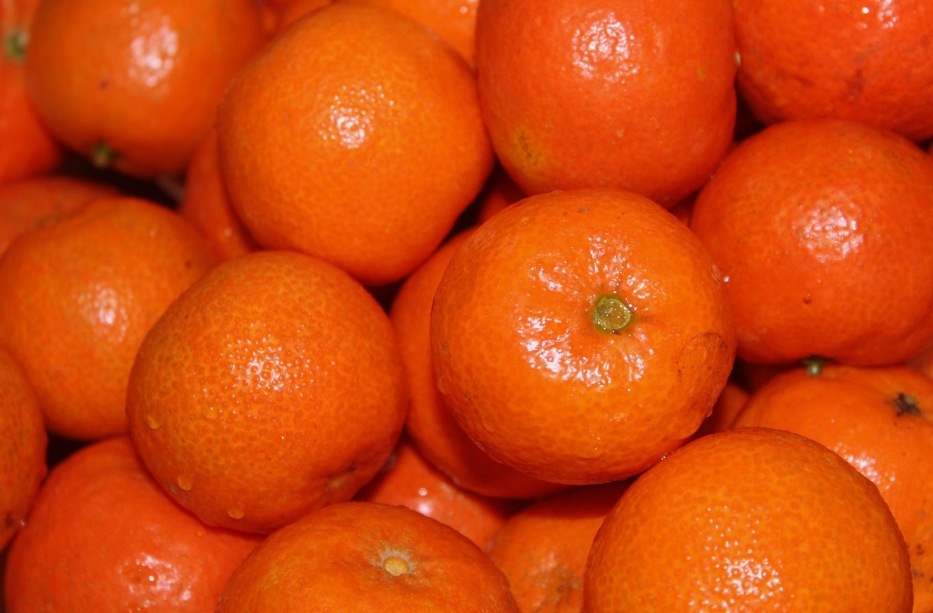 Sweet Mandarins