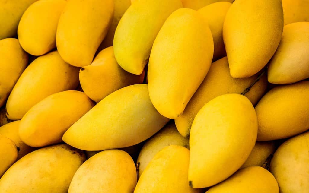 Pakistani Mangoes